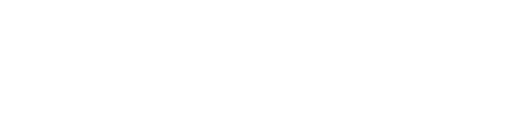 記念日にはライブ感があふれるカウンター席で